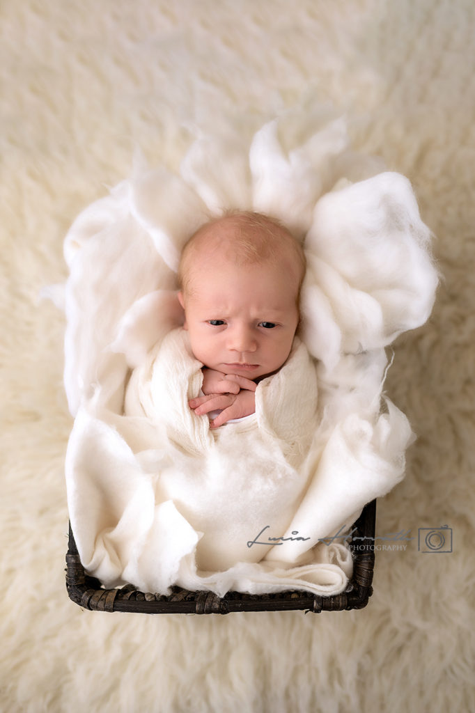 newborn foto