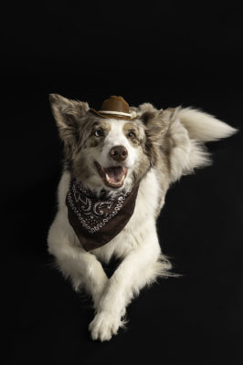 fotenie border kólií